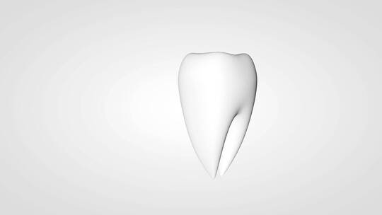人体牙齿牙船牙龈三维动画