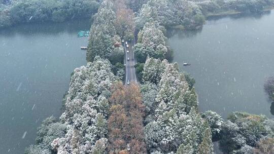 杭州西湖雪景 杨公堤隐秀桥