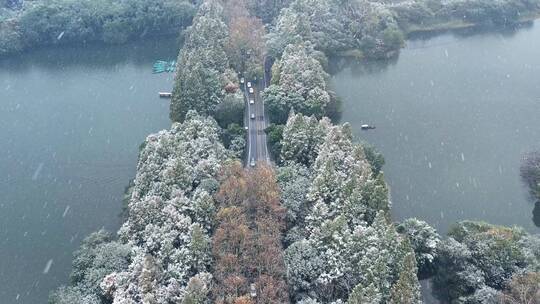 杭州西湖雪景 杨公堤隐秀桥视频素材模板下载