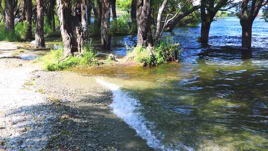 水生态治理生态大保护水清岸绿