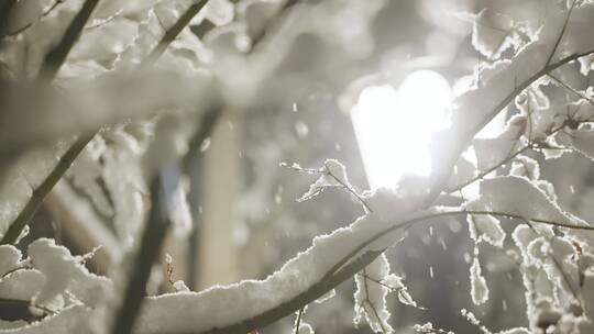 小区下雪夜景唯美飘雪