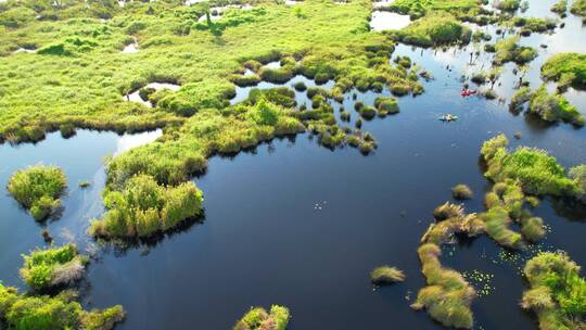 带绿色灌木丛的湿地鸟瞰图