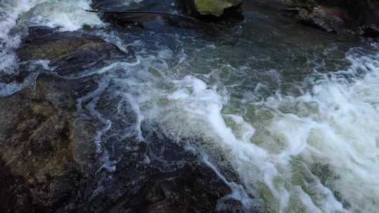 山间小溪水河流水树木枝叶视频