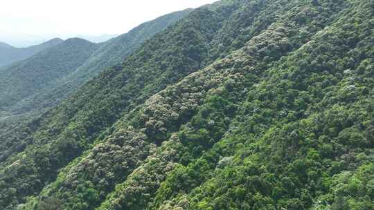 中国广东省梅州市丰顺县韩山森林公园