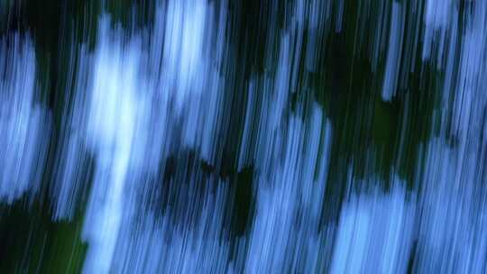 森林甩镜头 转场镜头树林 快切 过渡镜头