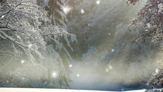 航拍积雪覆盖的山峰 森林树林 特写镜头
