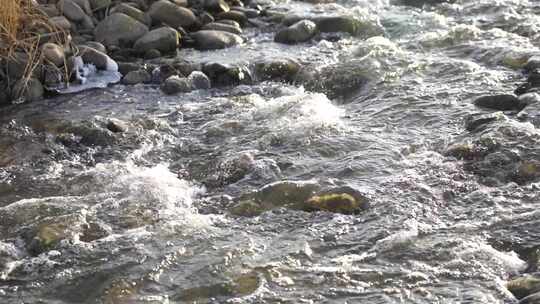 水 小溪 流动 河流 蜿蜒 清澈