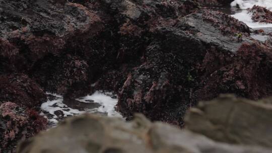 海浪冲击着海岸的岩石视频素材模板下载