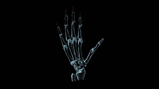 人手骨旋转的3D医学动画