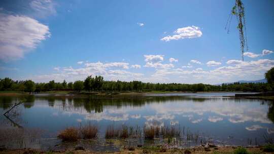 逆光拍摄湿地湖泊蓝天白云延时视频素材