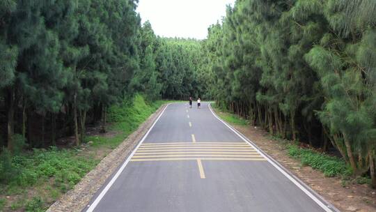 森林公路走路的人爬山散步行人