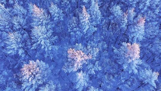 航拍大兴安岭林海雪原自然风光