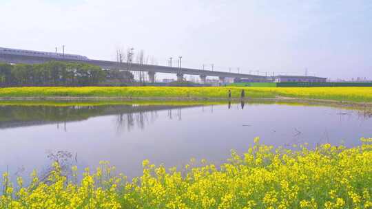 杭州临平春天油菜花花田高铁驶过