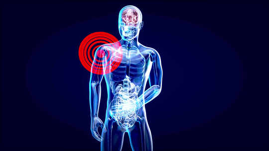 4K肩痛的解剖学概念