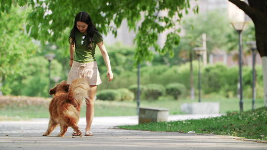年轻女孩在公园和宠物狗金毛犬玩耍