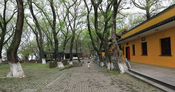 春天常熟虞山藏海寺古建筑风光