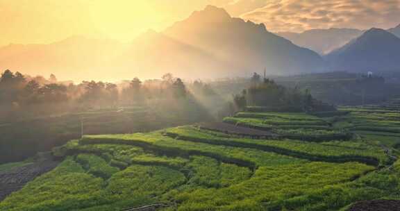 山间 大山 阳光 清晨 晨雾 梯田