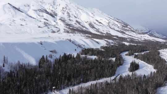 航拍新疆禾木雪景森林雪地雪山积雪的河道