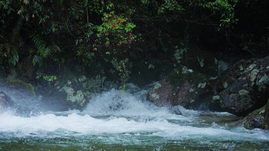 4K高清山区山泉水升格清澈流水降水