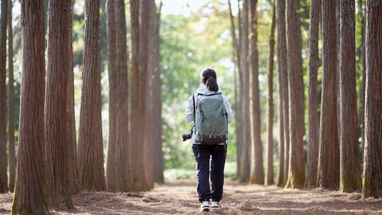 女性背包客森林户外徒步探险旅行背影