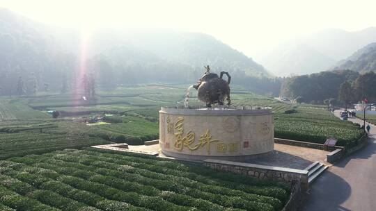 杭走茶山采茶叶茶叶种植山村