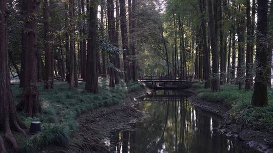 杭州西湖景区太子湾公园