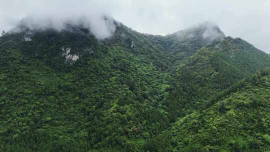 森林大山群山云雾萦绕视频素材模板下载