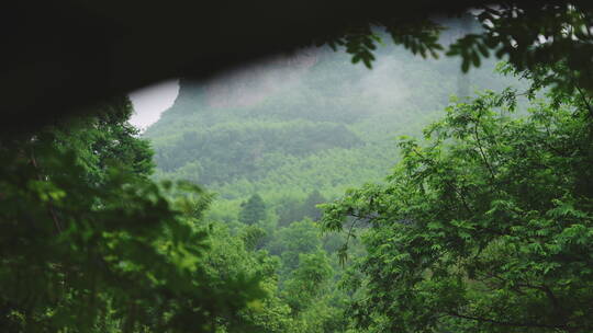 抬头仰望山峰