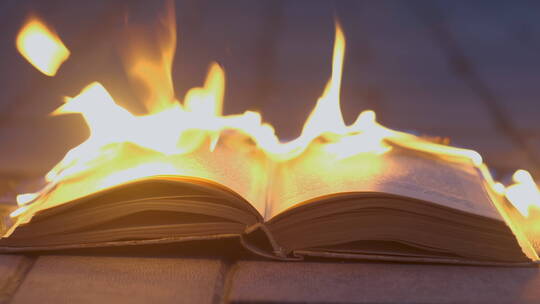 一本着火的书