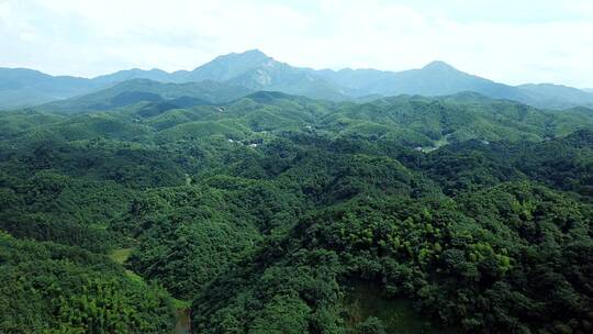 湖南衡阳花果山