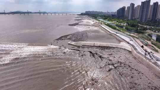 浙江杭州钱塘江潮水江东大桥潮水