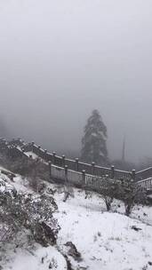 雪山雪景