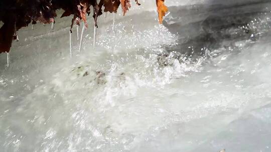 冰雪消融冰融化滴水视频素材模板下载