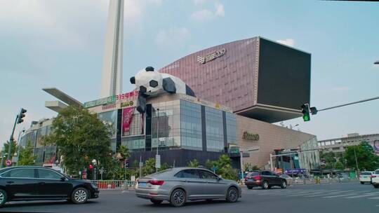 成都旅游339电视塔熊猫爬楼