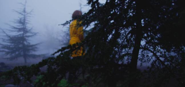 女人在起雾的森林里行走