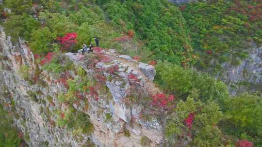 三峡红叶