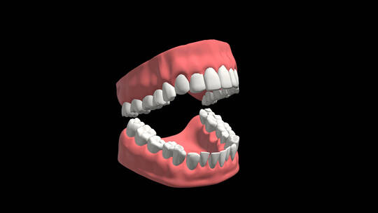 口腔牙齿张开三维展示4k带通道视频素材模板下载