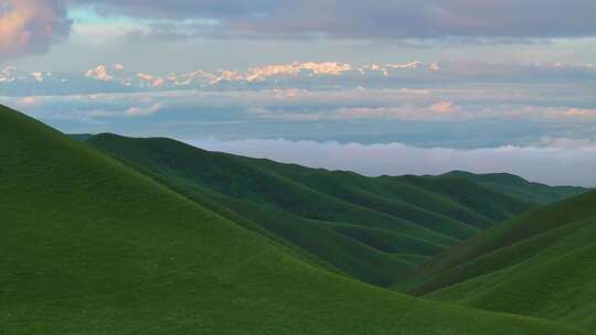 天山草原风光