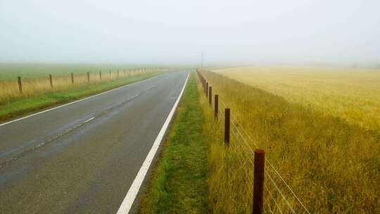 迷雾笼罩的空旷道路