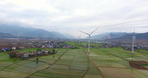 风电机组在西昌农村水稻田间运转