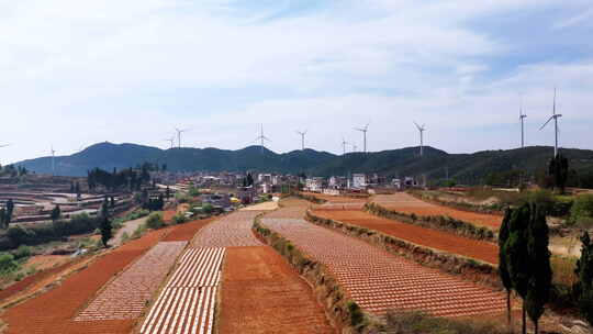 云南红土地 乡村农田 风车