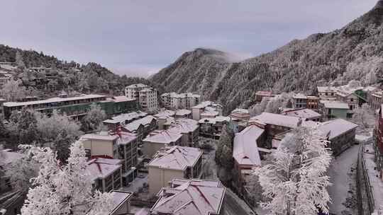 庐山雪景雾凇