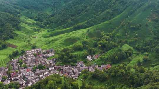 杭州西湖龙井茶园梅家坞清新茶山