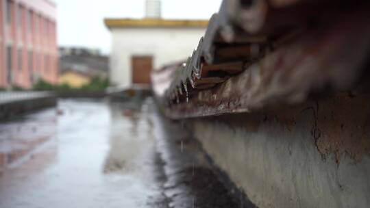 雨滴 雨水特写 水珠