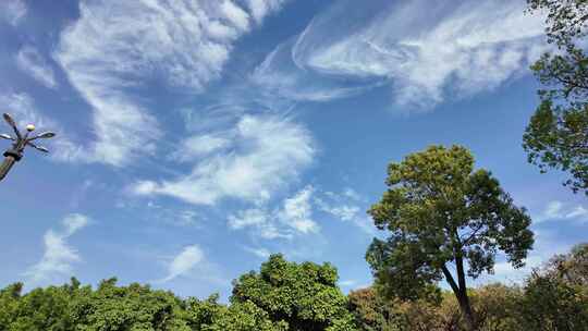 泉州晋江八仙山景区森林大树白天蓝天白云