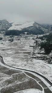 冬天水田雪景竖屏航拍