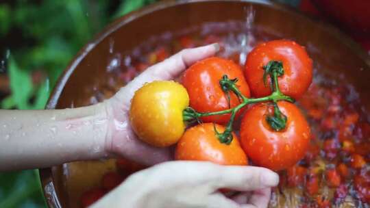清洗番茄