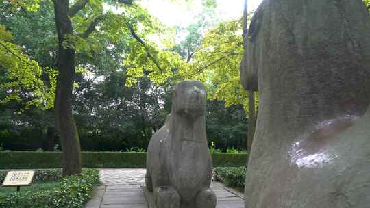 南京明孝陵景区石象路骆驼雕塑慢镜头素材