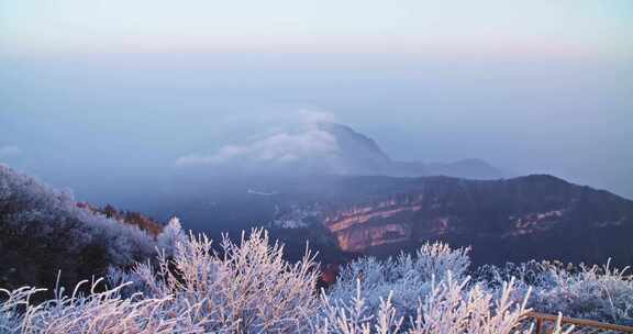 峨眉山 四川 雾凇 冬季 雪景 云海