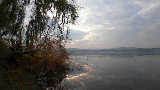 湖面树木自然风景